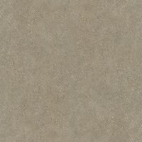 Gạch Prime 60x60 9049
