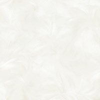 Gạch Prime 60x60 9074