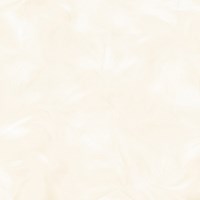 Gạch Prime 60x60 9075
