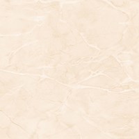 Gạch Prime 60x60 9079