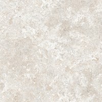 Gạch Prime 60x60 9102