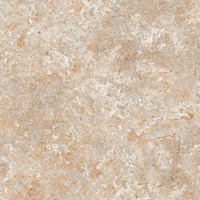 Gạch Prime 60x60 9103