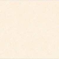 Gạch Prime 60x60 9110