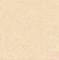 Gạch Prime 60x60 9111