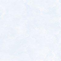 Gạch Prime 60x60 9113