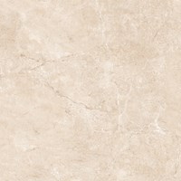 Gạch Prime 60x60 9121