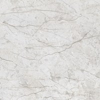 Gạch Prime 60x60 9127