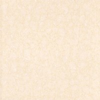 Gạch Prime 60x60 9201