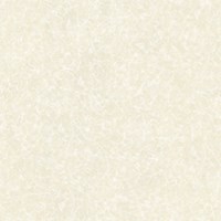 Gạch Prime 60x60 9661