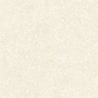 Gạch Prime 60x60 9661