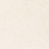 Gạch Prime 60x60 9671