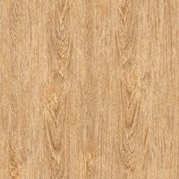 Gạch Prime 60x60 9788