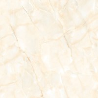 Gạch Prime 60x60 9842