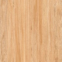 Gạch Prime 60x60 9854
