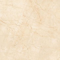 Gạch Prime 60x60 9856