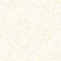Gạch Prime 60x60 9892