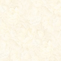 Gạch Prime 60x60 9892