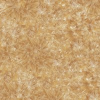 Gạch Prime 60x60 9897