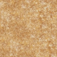 Gạch Prime 60x60 9897