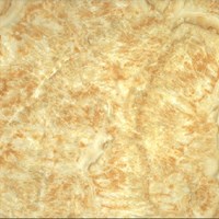 Gạch Prime 60x60 9898