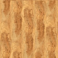Gạch Prime 60x60 9899