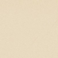 Gạch Prime 60x60 9950