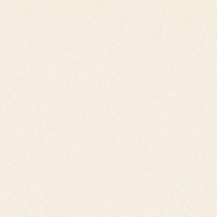 Gạch Prime 60x60 9952