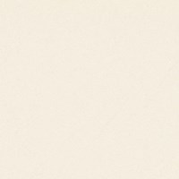 Gạch Prime 60x60 9952
