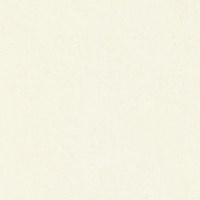 Gạch Prime 60x60 9954
