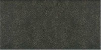 Gạch Taicera 30x60 G63990S