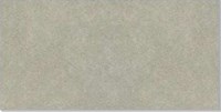 Gạch Taicera 30x60 G63992S