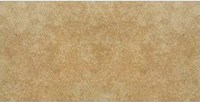 Gạch Taicera 30x60 G63996S