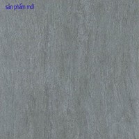 Gạch Taicera 60x60 G68988