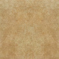 Gạch Taicera 60x60 G68996S