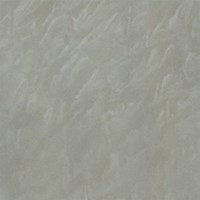 Gạch Taicera 60x60 P67048N