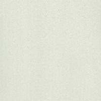 Gạch Taicera 60x60 P67312N