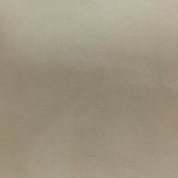 Gạch Taicera 60x60 P67542N