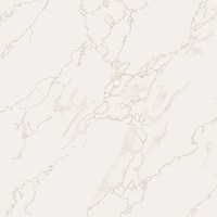 Gạch Taicera 60x60 P67594N
