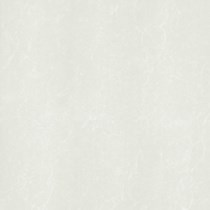 Gạch Taicera 60x60 P67762N