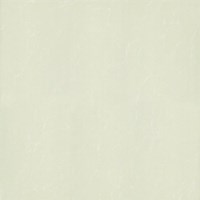 Gạch Taicera 60x60 P67763N