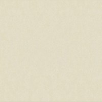 Gạch Taicera 80x80 H88713