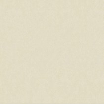 Gạch Taicera 80x80 H88713