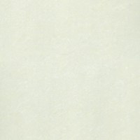 Gạch Taicera 80x80 P87703N