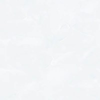 Gạch Tasa 60x60 SA-6703