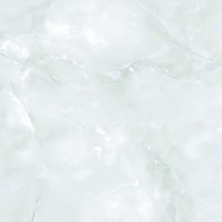 Gạch Tasa 60x60 TS 6009
