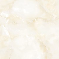 Gạch Tasa 60x60 TS 6010