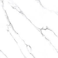 Gạch Tasa 60x60 TS 6012