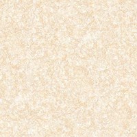 Gạch Tasa 60x60 TS 6020