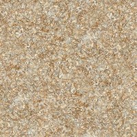 Gạch Tasa 60x60 TS 6021