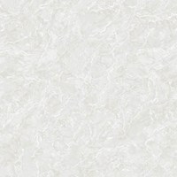 Gạch Tasa 60x60 TS 6022